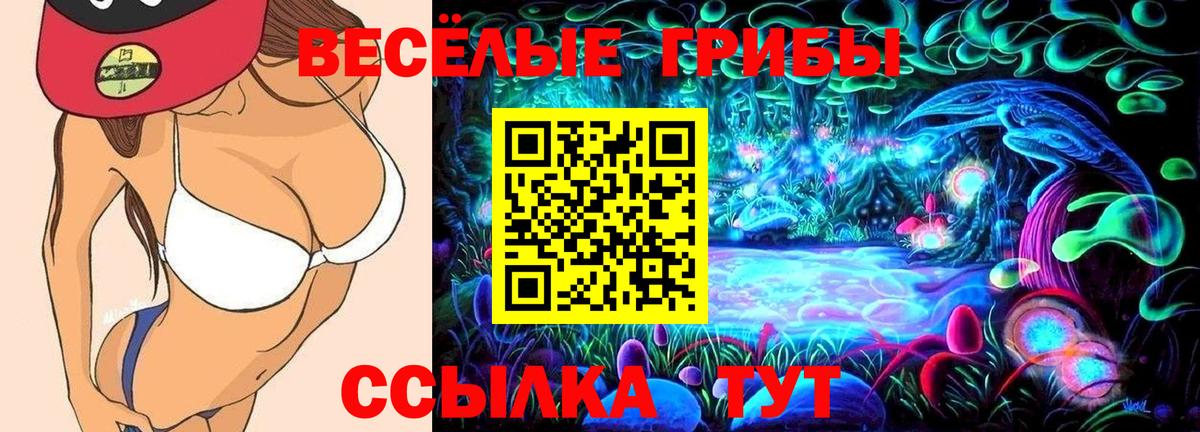 Псилоцибиновые грибы MAGIC MUSHROOMS Муром