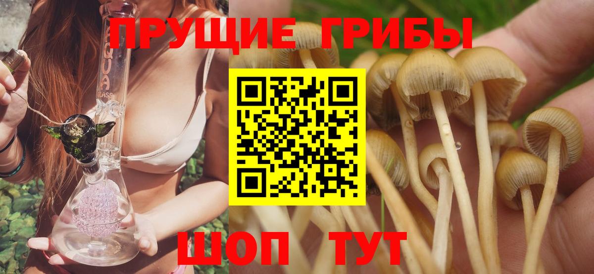Муром  Псилоцибиновые грибы Psilocybe  магазин  наркотиков  Вход с VPN 